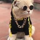 Funcat