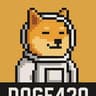DOGEMAN