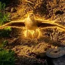 GUARDIAN