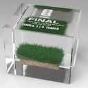 Grass