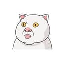 CATWA