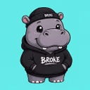 HIPPO
