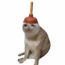 Plumbcat