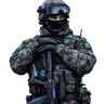SOLIDER