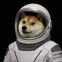 moondoge