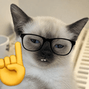 nerdcat