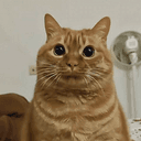 POTATO