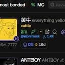 80IQ SHEEp