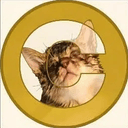 Kun