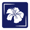 MTT