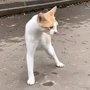 Resilience