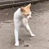Resilience