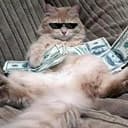 ALIMONY