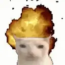 아이딧Cat