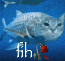 FIH