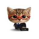 Smellcat