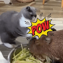 POW