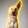 Maggie