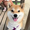 Yuki