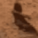 Martian