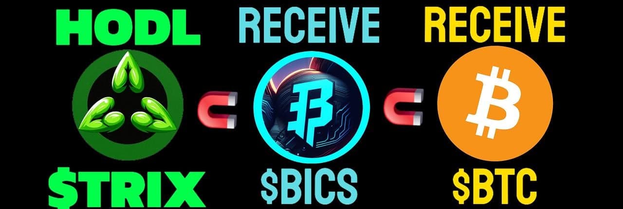Triceps Banner