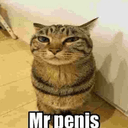 REDDIT