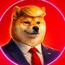 TDOGE