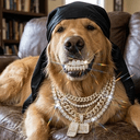 HDOG