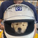 HALO