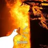HONK