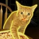 GARFİELD