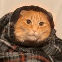 LES