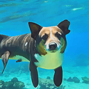 dogphin