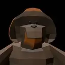 SAN