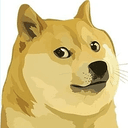 DOGE