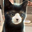 bearcat