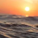 sea