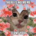 ily