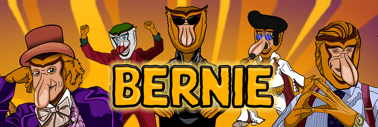 Bernie Banner
