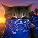 crimecat
