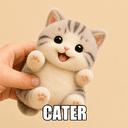 cater