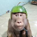 MLNKEY