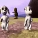 Dogs