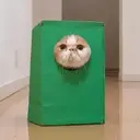 Jinpachi