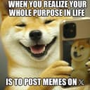 X LIFE