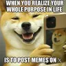 X LIFE