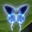 Tit