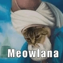Meowlana
