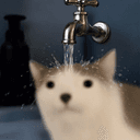 faucet