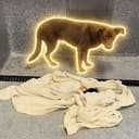 SOL